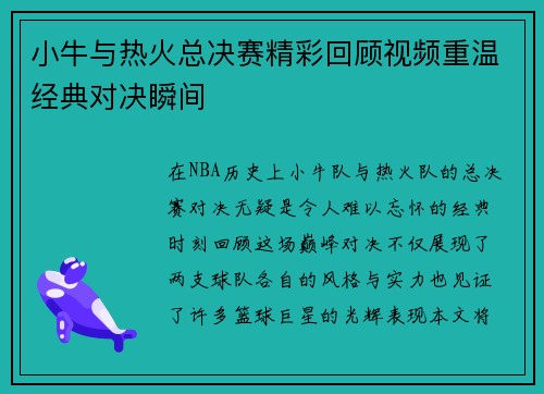 小牛与热火总决赛精彩回顾视频重温经典对决瞬间