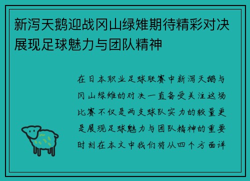 新泻天鹅迎战冈山绿雉期待精彩对决展现足球魅力与团队精神