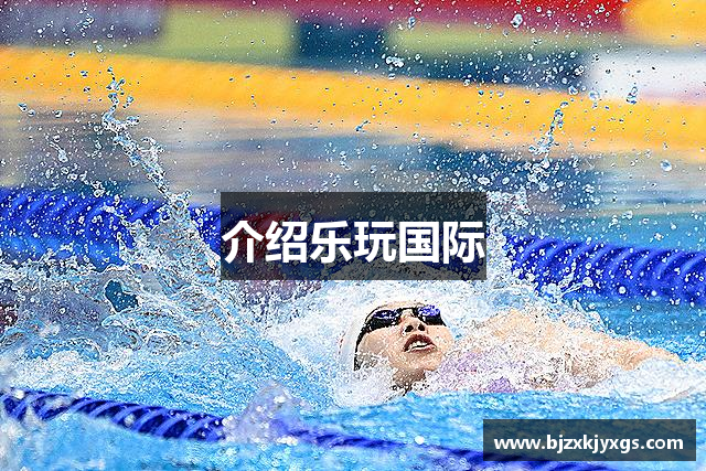 介绍乐玩国际
